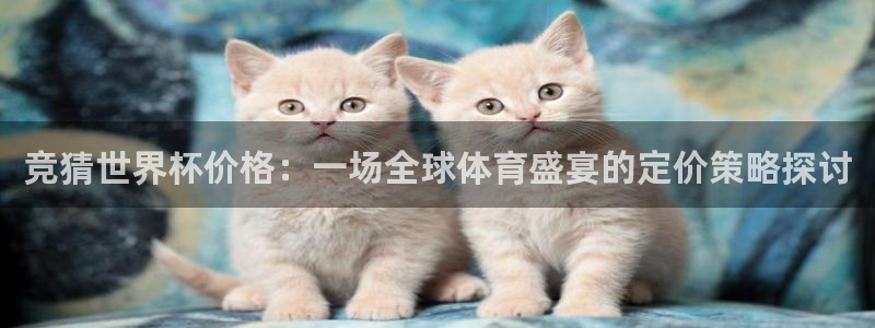 世界杯直播观看:竞猜世界杯价格:一场全球体育盛宴的定价策略探讨
