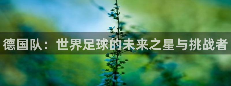 世界杯在线直播入口:德国队:世界足球的未来之星与挑战者