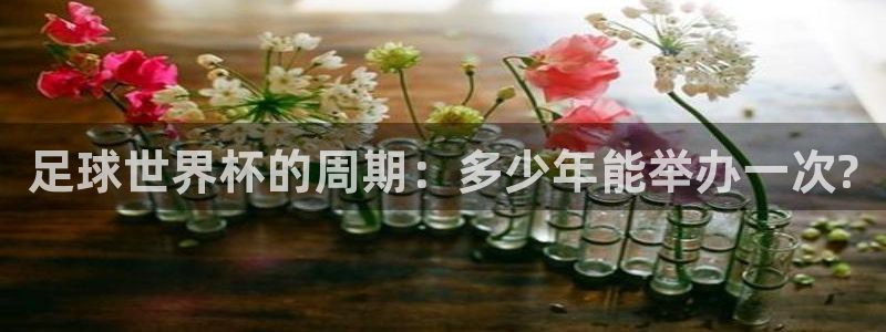 世界杯决赛预测:足球世界杯的周期:多少年能举办一次?