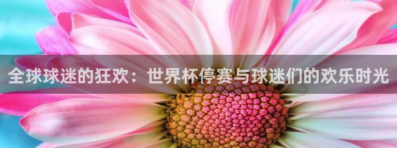 世界杯直播免费观看:全球球迷的狂欢:世界杯停赛与球迷们的欢乐时光
