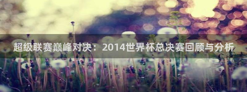 世界杯预选赛排名:超级联赛巅峰对决:2014世界杯总决赛回顾与分析