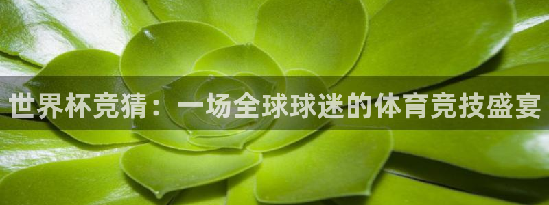 2026世界杯赛程时间表最新:世界杯竞猜:一场全球球迷的体育竞技盛宴